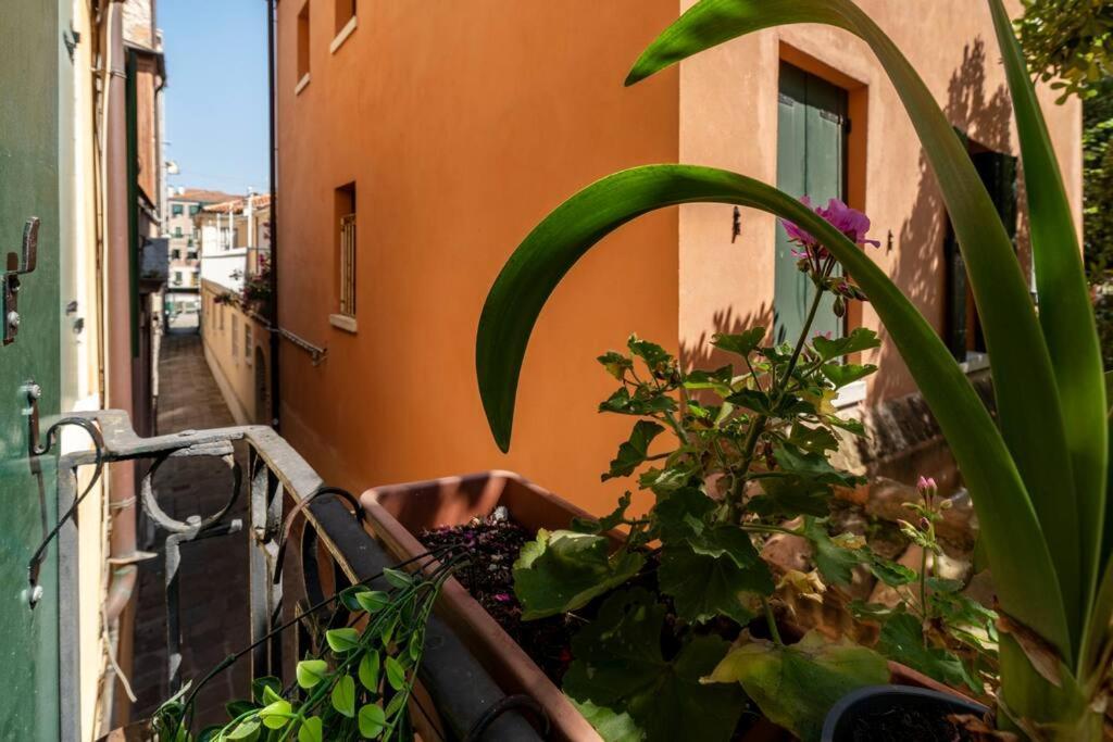Ca' Mandorla 027042Loc09523 Apartment Venice Luaran gambar